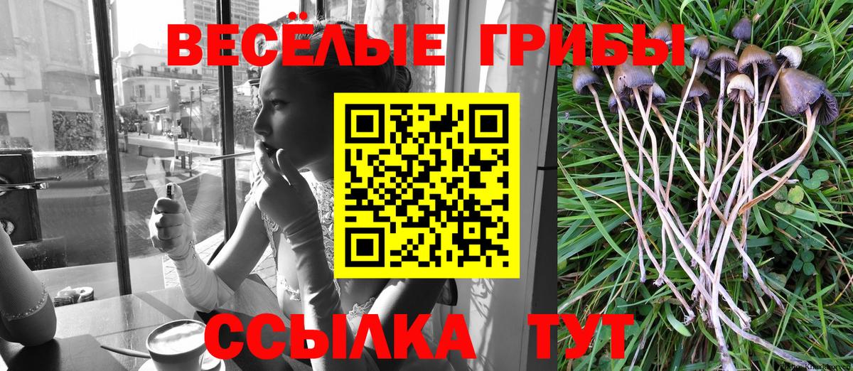 Псилоцибиновые грибы GOLDEN TEACHER  Вход с VPN  Чебаркуль 