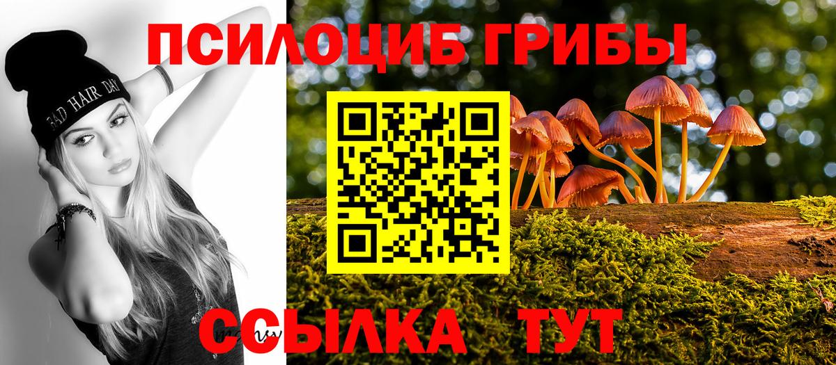 Псилоцибиновые грибы GOLDEN TEACHER Чебаркуль